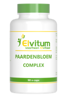 Elvitum Paardenbloem Complex Capsules