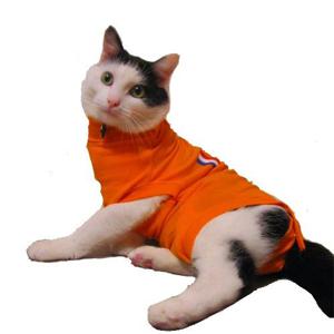 Medical Pet Shirt Kat Oranje XS