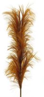 Feather spray brown 160cm