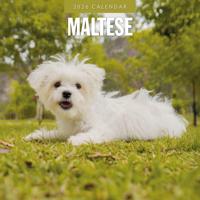 Maltezer Kalender 2026