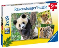 Ravensburger puzzel 3x49 stukjes panda tijger en leeuw - thumbnail