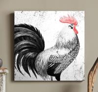 Canvas schilderij vogels Zwarte en rode haan Canvas schilderij vogels Zwarte en rode haan