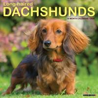 Langharige Teckels Kalender 2026
