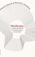 Meditatie - Daniël Goleman, Richard Davidson - ebook