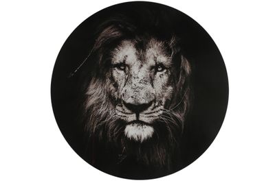 Schilderij Leeuw rond L zwart/wit-L0,4B60H60CM