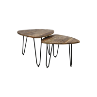 Salontafel Set Dexter - 60 - Mango