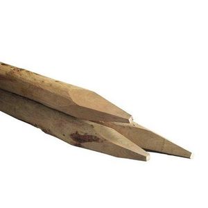 Robinia ronde paal 8-12cm 250cm