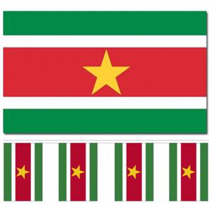 Suriname versiering/feestartikelen set - vlag 90 x 150 cm - vlaggenlijn van 300 cm - landen