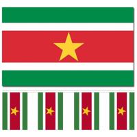 Suriname versiering/feestartikelen set - vlag 90 x 150 cm - vlaggenlijn van 300 cm - landen - thumbnail