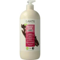 Sante Shampoo glossy shine Sante Shampoo glossy shine