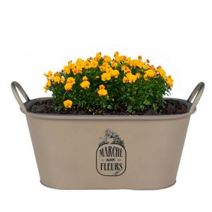 Plantenpot/bloempot teil voor buiten - zink - taupe - L39 x B16 x H21 cm