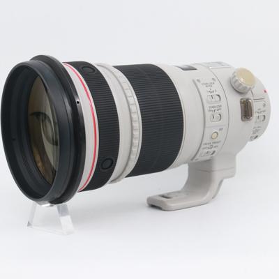 Canon EF 300mm F/2.8 L IS II USM occasion