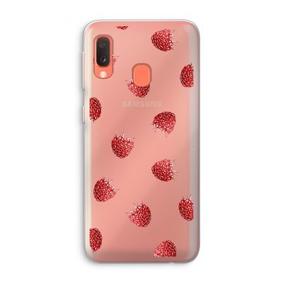 Framboosjes: Samsung Galaxy A20e Transparant Hoesje