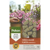 Pokon Terras & Balkon Planten Voedingskegels 10st - 724105