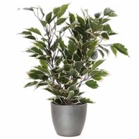 Groen/witte ficus kunstplant 40 cm met plantenpot zilver metallic D13.5 en H12.5 cm - Kunstplanten - thumbnail