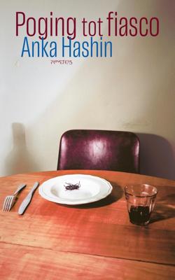 Poging tot fiasco - Anka Hashin - ebook