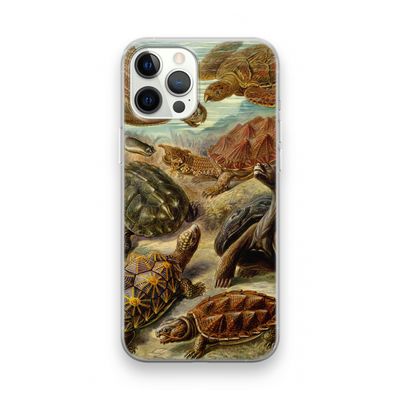 Haeckel Chelonia: iPhone 12 Pro Transparant Hoesje