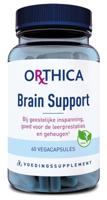 Brain support - thumbnail