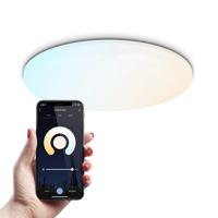 Smart plafondlamp - Rond - 24 Watt - 2400 lumen - Ø30cm - RGBWW - Wifi + Bluetooth - Google Home, Amazon Alexa en Siri - Frameless - Bestuurbaar via App en Stem