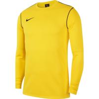 Nike Dri-FIT Park 20 Crew Trainingstrui Kids Geel