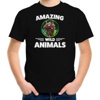 T-shirt orang oetan apen amazing wild animals / dieren zwart voor kinderen - thumbnail