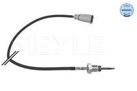 Sensor, uitlaatgastemperatuur 1148000261