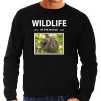 Luiaard sweater / trui met dieren foto wildlife of the world zwart voor heren - thumbnail