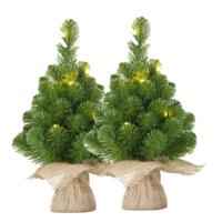 Mini kunst kerstboompjes - 2x - 30 cm - met 10 LED lampjes - warm wit - kunstboom