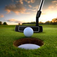89 cm Mallet Putter van Roestvrij Staal met Roestvrijstalen Kop en Antislip Handgreep Golfclub voor Rechtshandigen Dames Heren