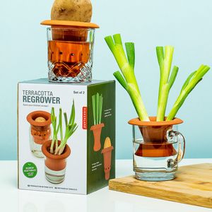 Kikkerland Terracotta regrower voor groenten (set van 2)