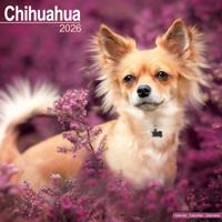 Chihuahua Kalender 2026