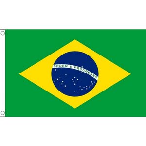 Mini vlag Brazilie 60 x 90 cm