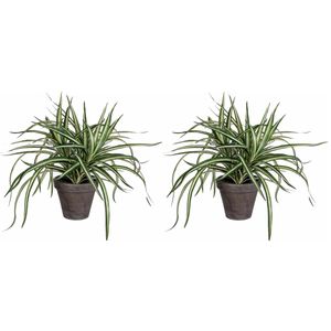 2x stuks dracaena kunstplanten groen in grijze pot H34 cm x D40 cm