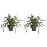 2x stuks dracaena kunstplanten groen in grijze pot H34 cm x D40 cm - thumbnail