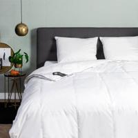 Dekbed Dons 60% eendendons 4 Seizoenen 240 x 200 cm - 4 seizoenen - 240x200 cm (Lits-Jumeaux) - Presence - 275 gr (175 gr + 100 gr) -
