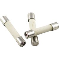 ESKA 527.25 52725 Buiszekering (Ø x l) 5 mm x 25 mm 6.3 A 250 V Snel -F- Inhoud 10 stuk(s) - thumbnail