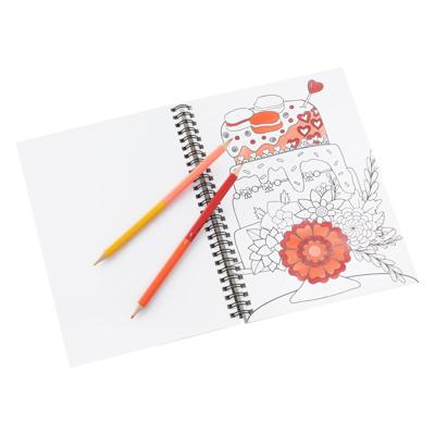 Grafix Kleuren op nummer kleurboek met kleurpotloden.