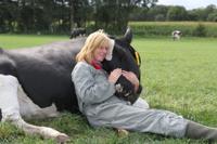 Workshop: Koeknuffelen met boerderijbezoek Workshop: Koeknuffelen met boerderijbezoek