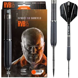 Target Raymond van Barneveld RVB95 G1 - Gram : 25