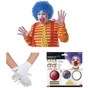 Clown verkleed set volwassenen - Pruik/schmink/handschoenen