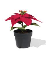 HEMA Kunst kerstster 20cm in pot