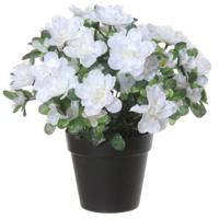 Louis Maes Azalea Kunstplant - in pot - wit - H28 cm   -