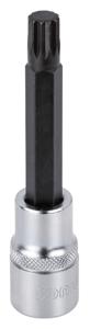 Bitdop 1/2", veeltand 100mmL M10 83810010
