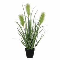 Mica Decorations Kunstplant - siergras - groen - in pot - 53 cm