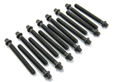 Cilinderkopboutset BMW (14 ST.) 143200202