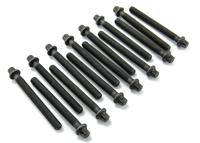 Cilinderkopboutset BMW (14 ST.) 143200202