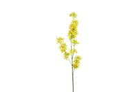 Decostar zijdebloem Matthiola 120 cm geel