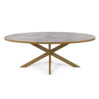 Stalux Ovale eettafel 'Mees' 210 x 100cm, kleur goud / beton