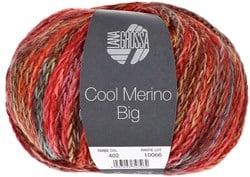 Lana Grossa Cool Merino Big Color 402 Grijsgroen/Rood/Geel/Mint/Bruin/Palissanderhout