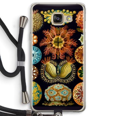 Haeckel Ascidiae: Samsung Galaxy A5 (2016) Transparant Hoesje met koord